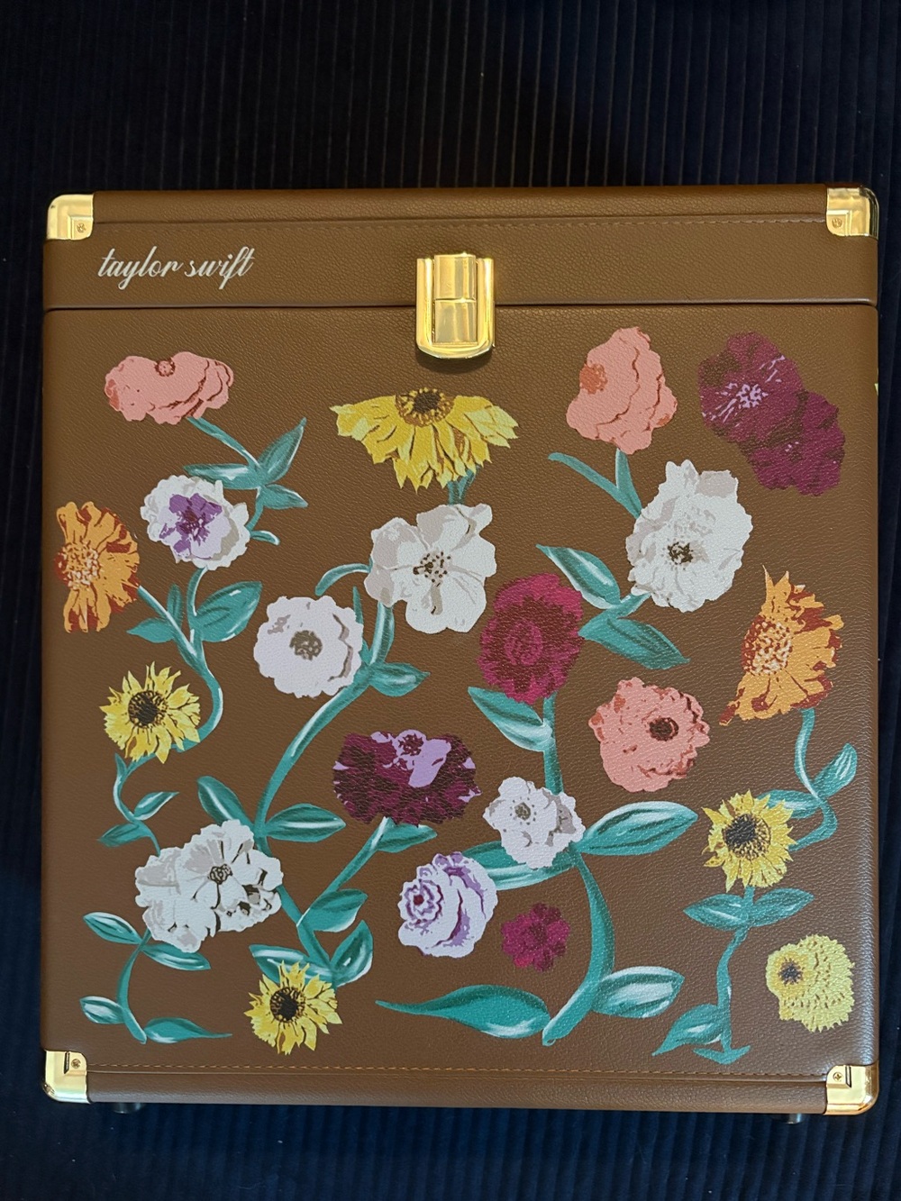 Taylor Swift Acoustic Piano Vinyl Case